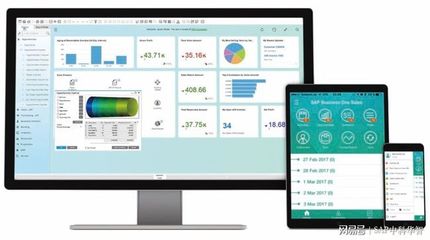 中科华智SAP B1 ERP 食品行业信息化解决方案