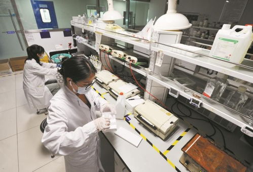 以岭药业 科技赋能，引领中药现代化新篇章